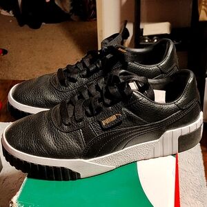 Puma cali's